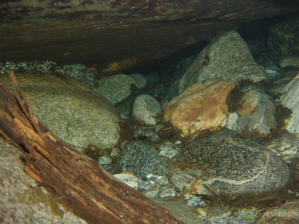 grotte
Mots-clés: verzasca