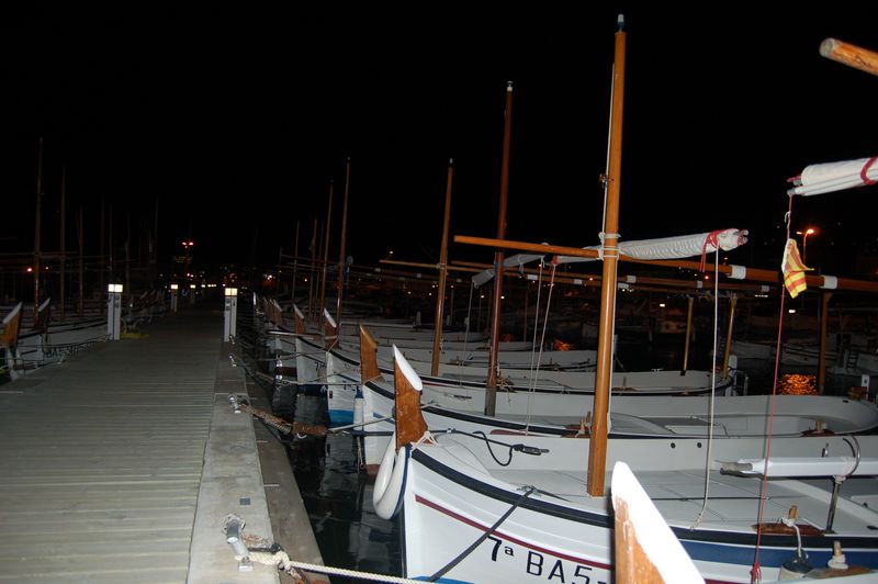 145-DSC_0155cjpwz.JPG