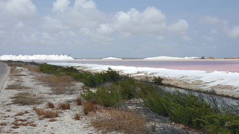Salines_Bonaire.jpg
