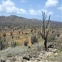 Nord_Bonaire_reserve_naturelle.jpg