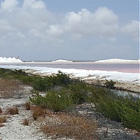 Salines_Bonaire.jpg