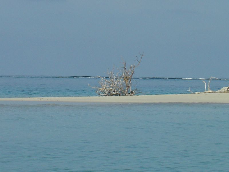35_M_DSC08699_jpw-CPPLO.JPG