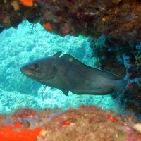 DSC09958-CPPLO.JPG