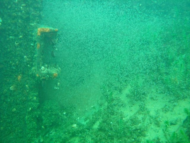 DSC05509.JPG