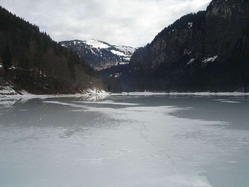 DSC06768-CPPLO.JPG
