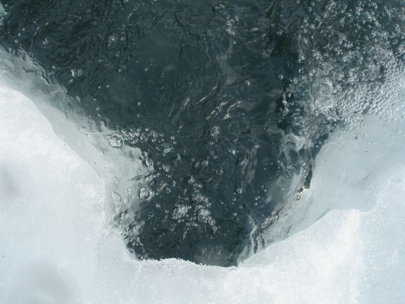 DSC06800-CPPLO.JPG