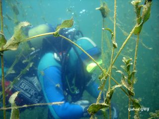 DSC09558-CPPLO.JPG