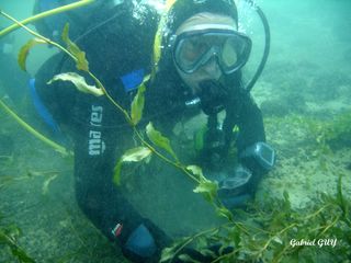 DSC09567-CPPLO.JPG