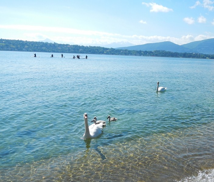 DSCN0094_petite_visite_sympa21___cwz.JPG