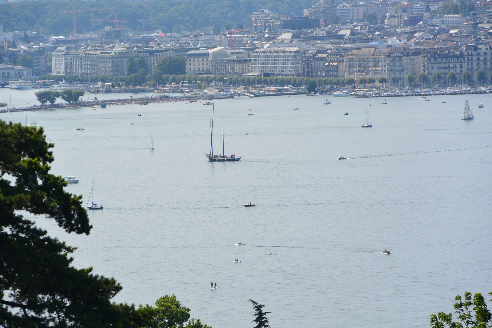 IMG_DSC_7200_r.JPG