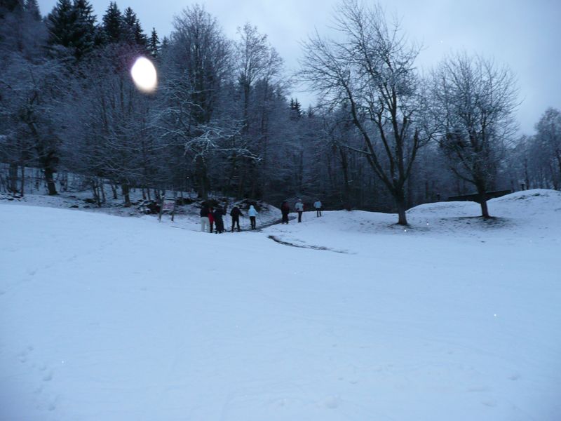 P1000576_CHJPW~0.JPG