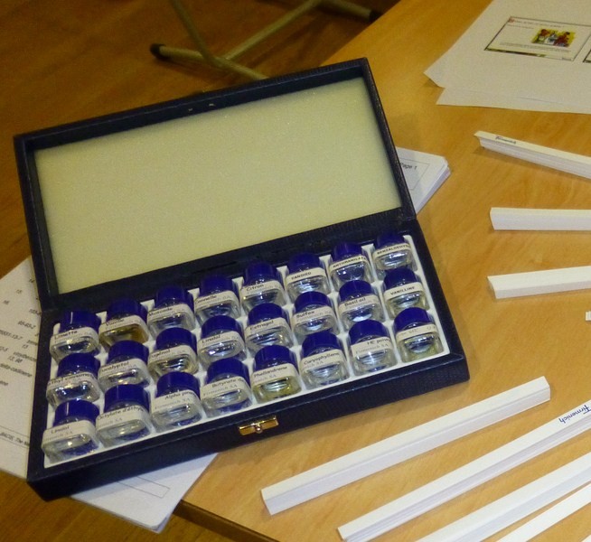 P1010619_cwz.JPG