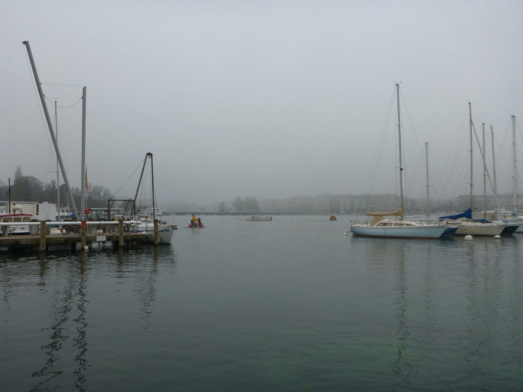 P1020850_28Copier29.JPG
