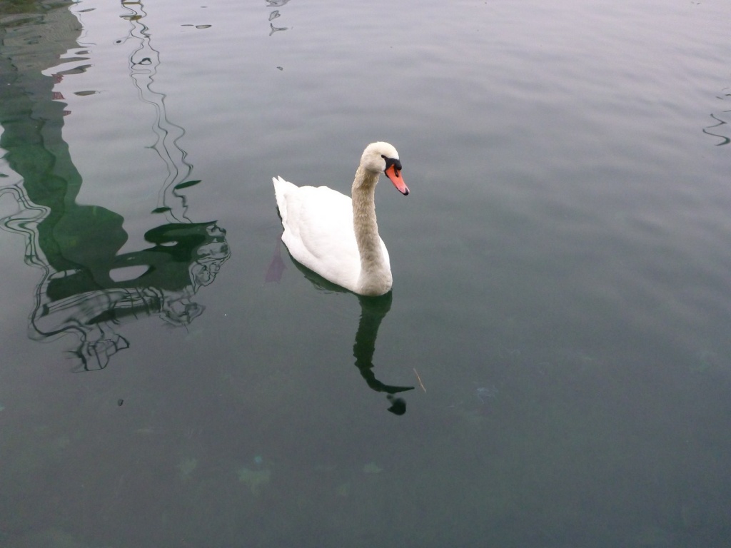 P1020854_28Copier29.JPG
