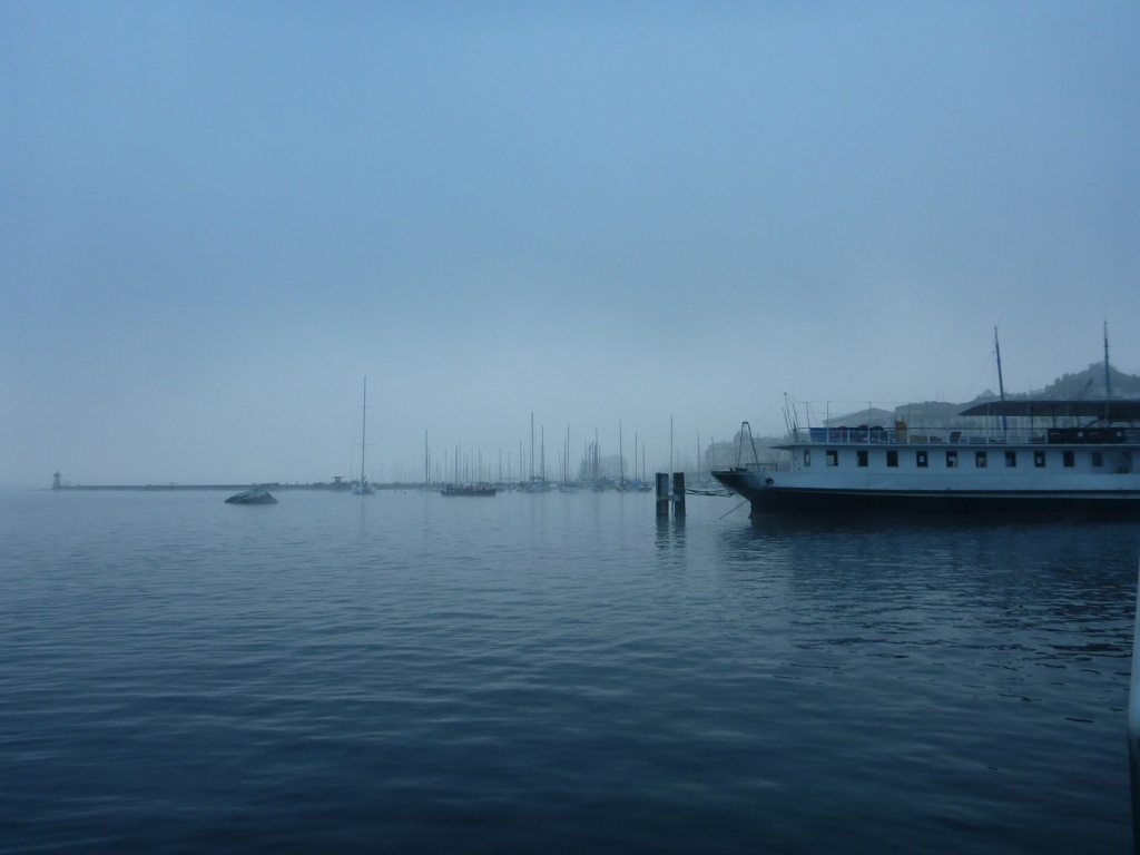 P1020895_28Copier29.JPG