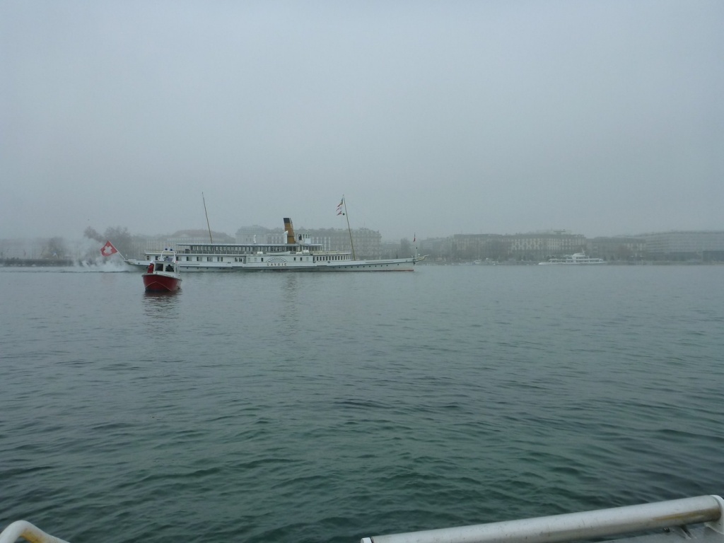 P1020959_28Copier29.JPG