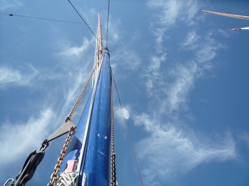 P1030572-CPPLO.JPG