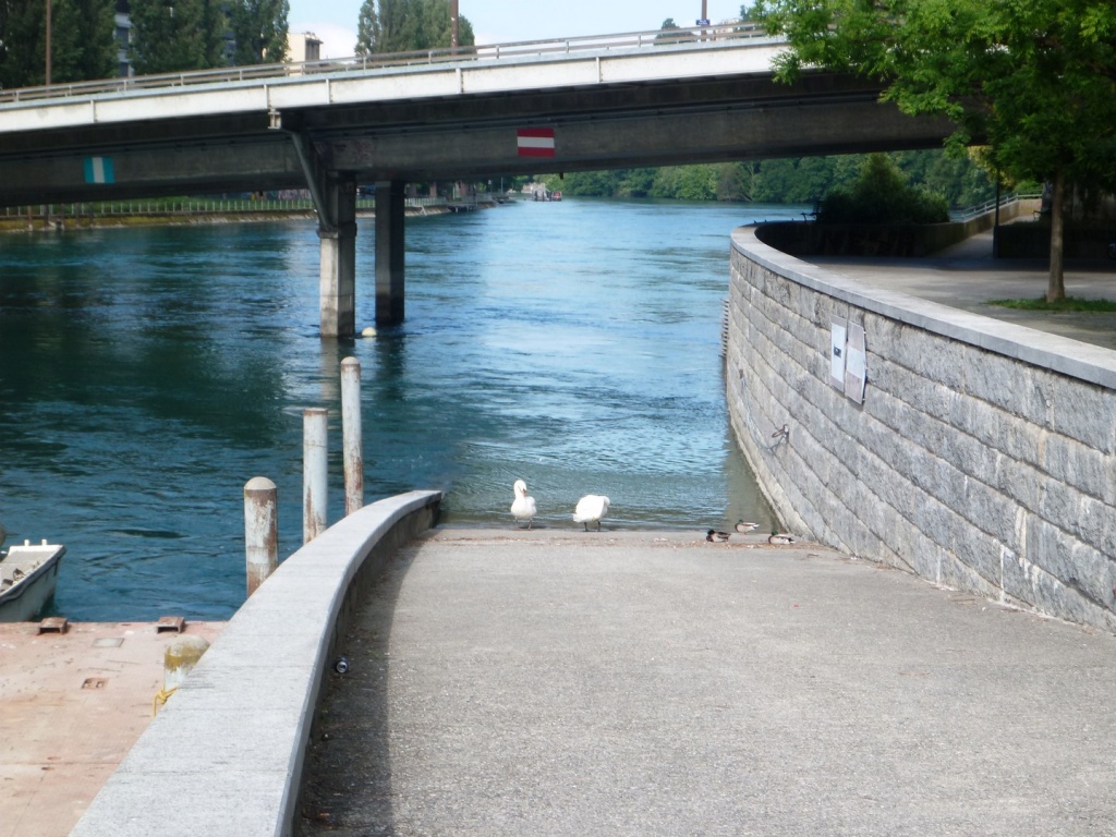 P1030914_28Copier29.JPG