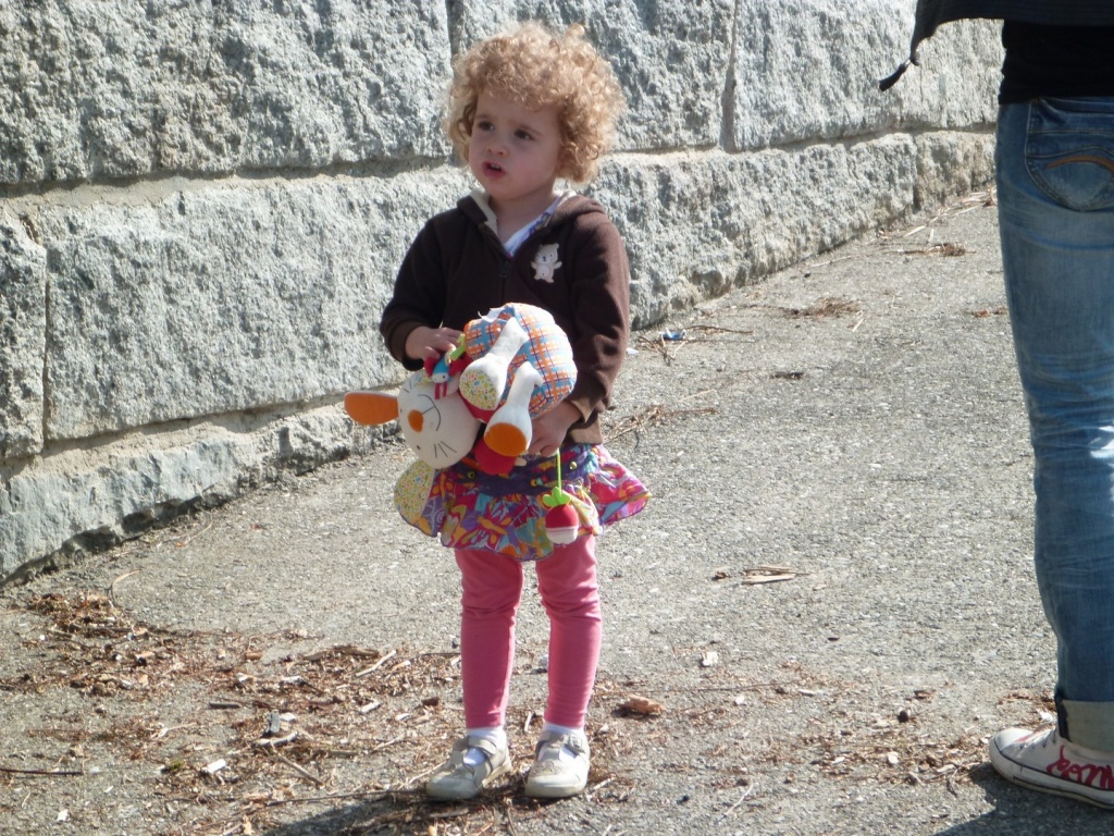 P1030932_28Copier29.JPG