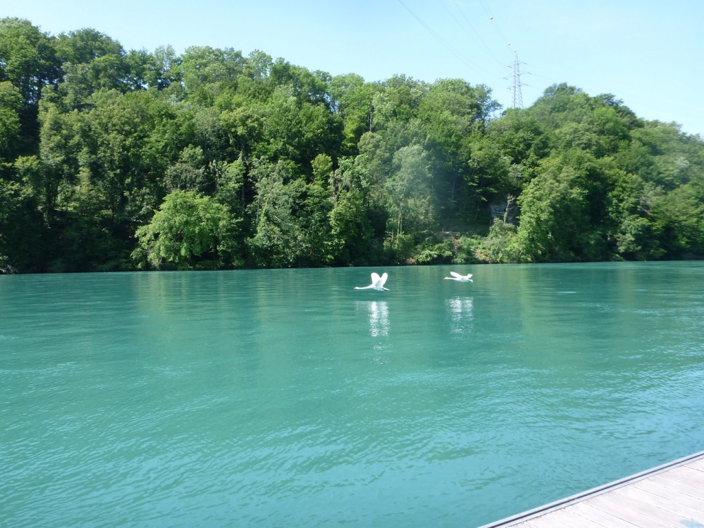 P1030975_28Copier29.JPG