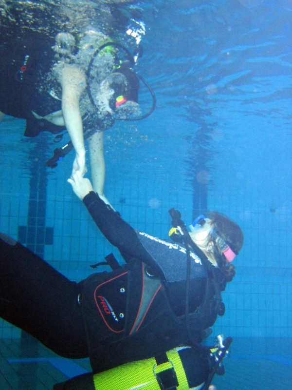 plo_portes_ouvertes_15_11_08_(16).jpg