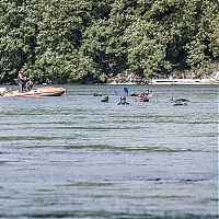31052014_CPPLO_DESCENTE_DU_RHONE_0233.jpg