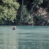 31052014_CPPLO_DESCENTE_DU_RHONE_0248.jpg