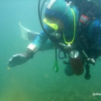 DSC09547-CPPLO.JPG