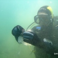 DSC09549-CPPLO.JPG
