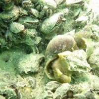 DSC09551-CPPLO.JPG