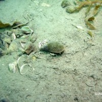 DSC09564-CPPLO.JPG