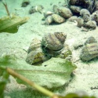DSC09565-CPPLO.JPG