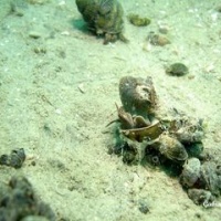 DSC09568-CPPLO.JPG
