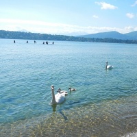 DSCN0094_petite_visite_sympa21___cwz.JPG