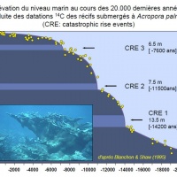 Elevation_Niveau_Marin.jpg