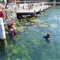 IMG_5773_r.JPG