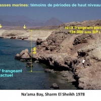 Naama_Bay.jpg