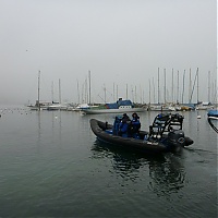 P1020851_28Copier29.JPG