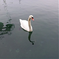 P1020854_28Copier29.JPG