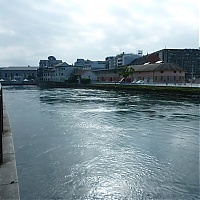 P1030917_28Copier29.JPG