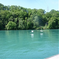 P1030975_28Copier29.JPG