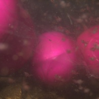 P4013274_28Copier29.jpg