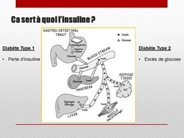 Diapositive8 r.JPG