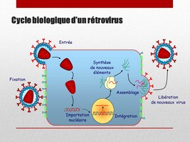 Diapositive25 r.JPG