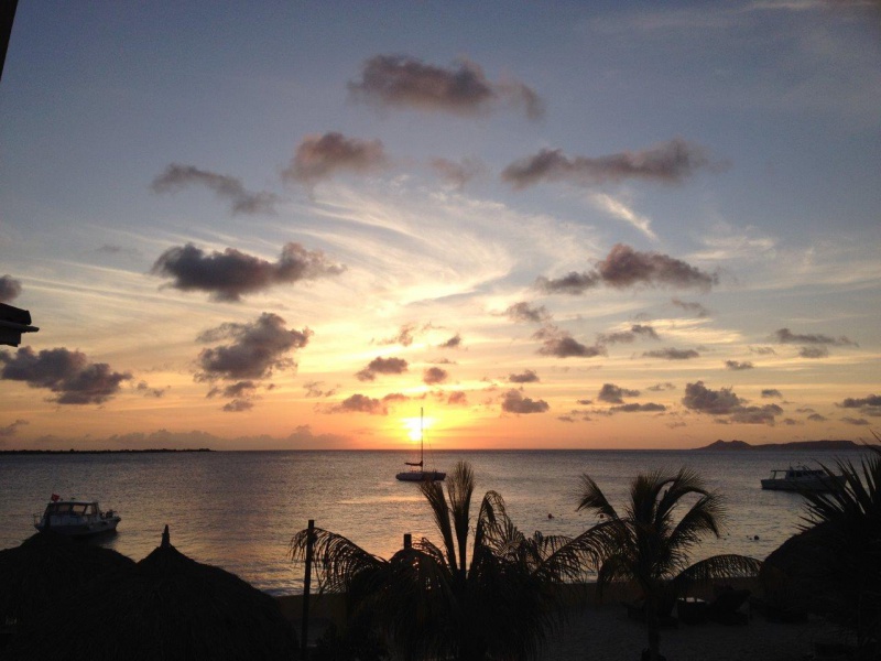 Fichier:IMG 3243 RF.jpg