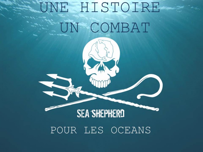 Fichier:Dia 1a.jpg