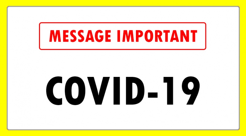 Fichier:Logo covid-cpplo.jpg
