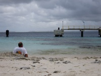 IMG 0269 ACG.jpg