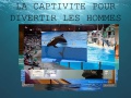 Vignette pour la version du 7 juin 2017 à 15:33