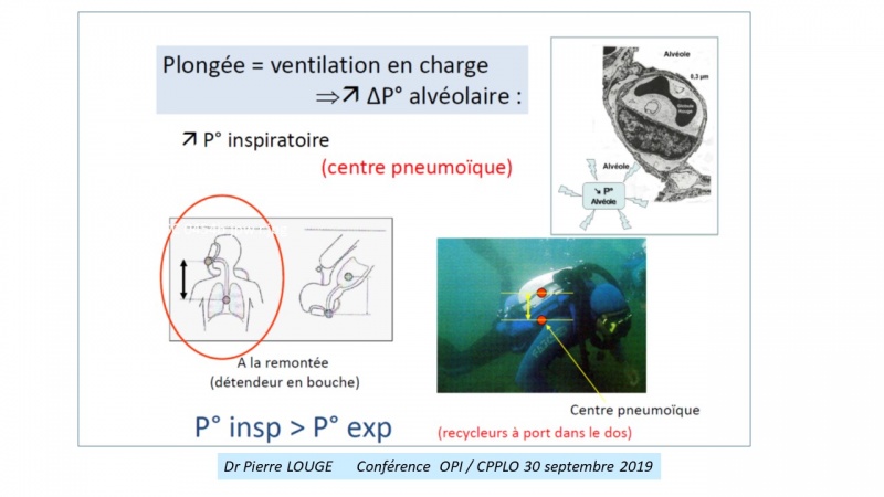 Fichier:PL P LOUGE slide 4.jpg